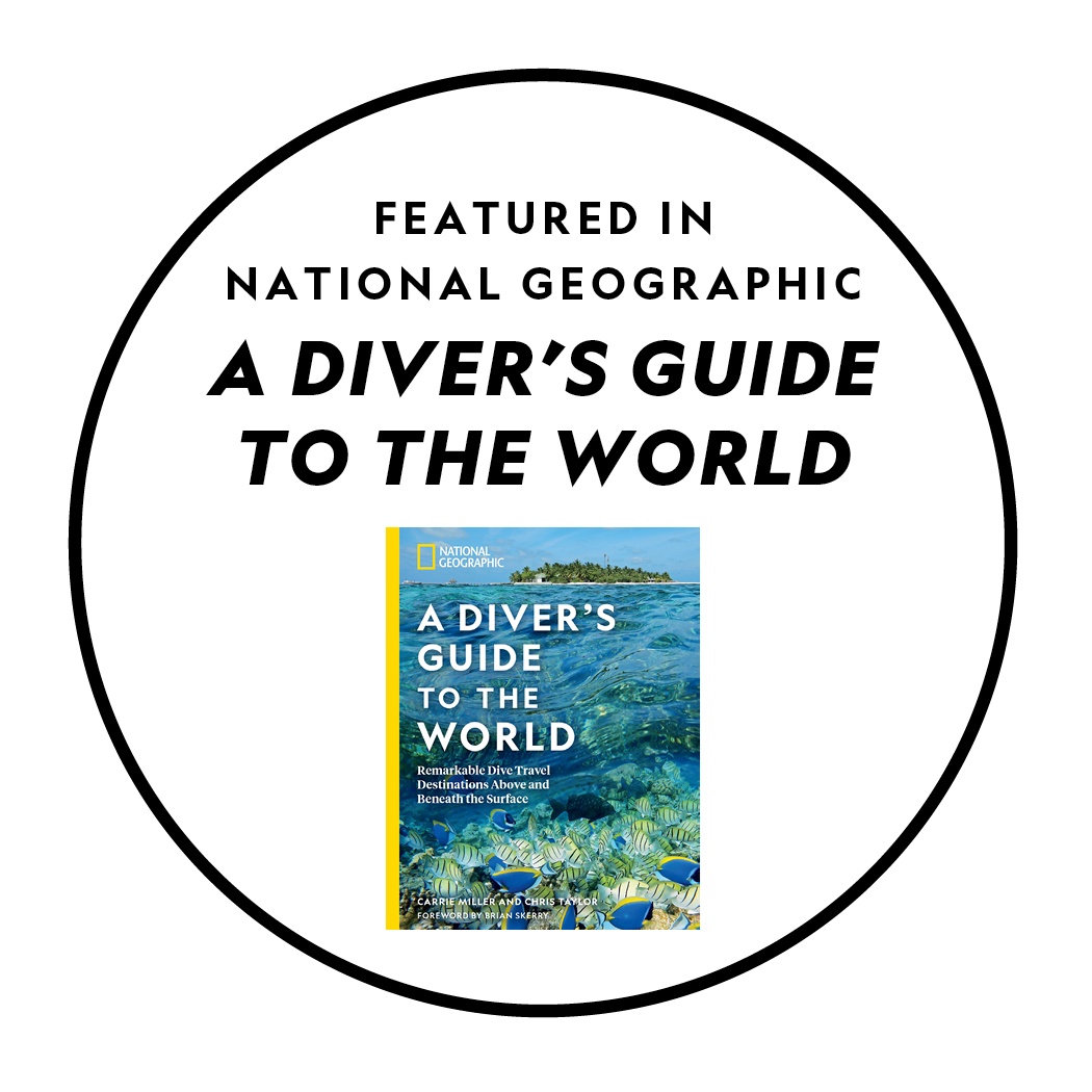 A Diver's Guide to the World_white badge A Diver's Guide to the World_white badge