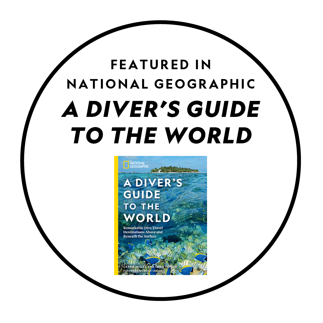 A-Divers-Guide-to-the-World_white-badge